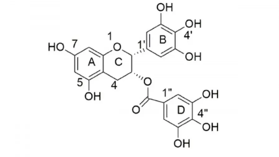 Фото: sciencedirect.com