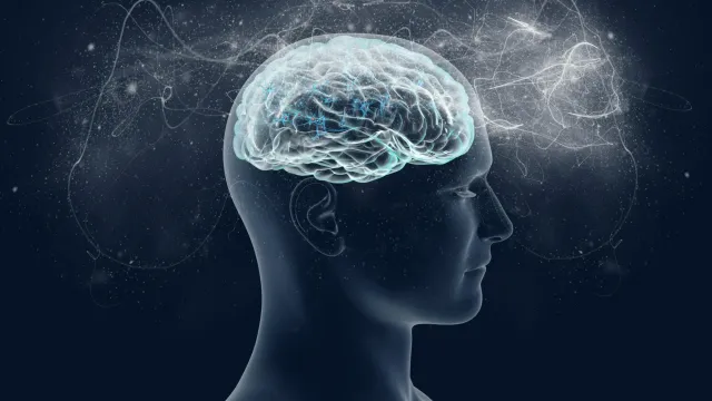 Учёные создали технологию «субтитры для разума» для перевода мыслей в текст