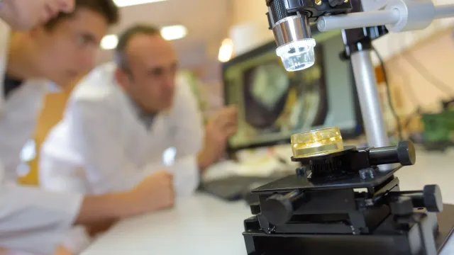 Учёные создали синтетический материал для точного моделирования нейронов