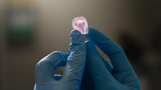 Новый эластомер для 3D-печати оказался в 15 раз прочнее традиционных аналогов