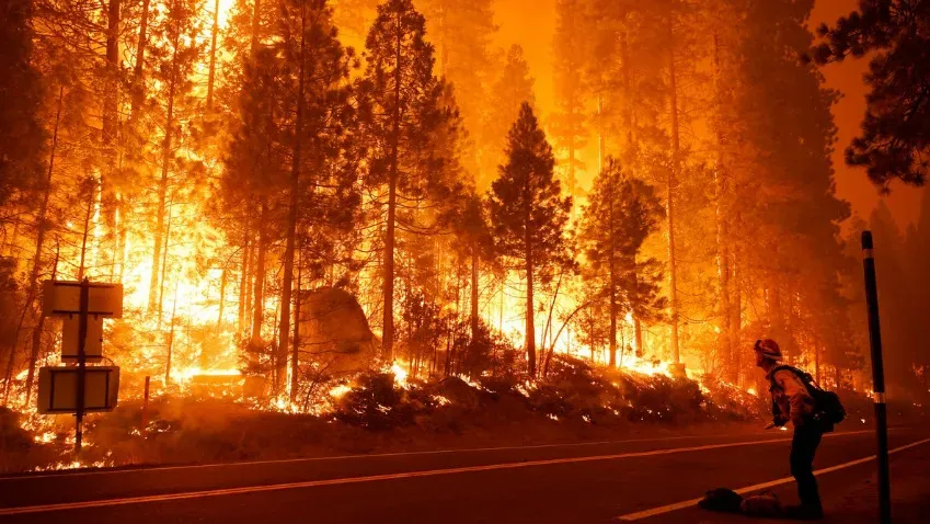 Nature Communications: Эль-Ниньо провоцирует лесные пожары по всему миру