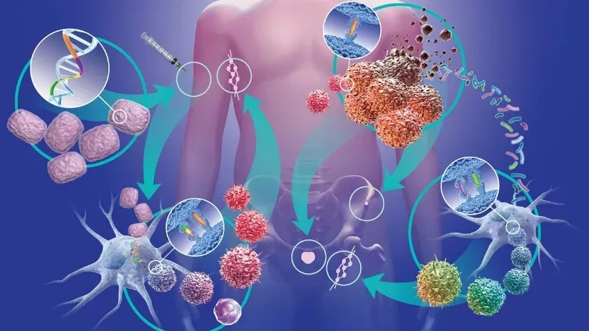 Nature Medicine: Иммунотерапия метастазов рака мозга демонстрирует клиническую пользу