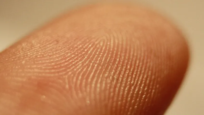 Ученые рассказали, как и когда у человека формируются уникальные отпечатки пальцев