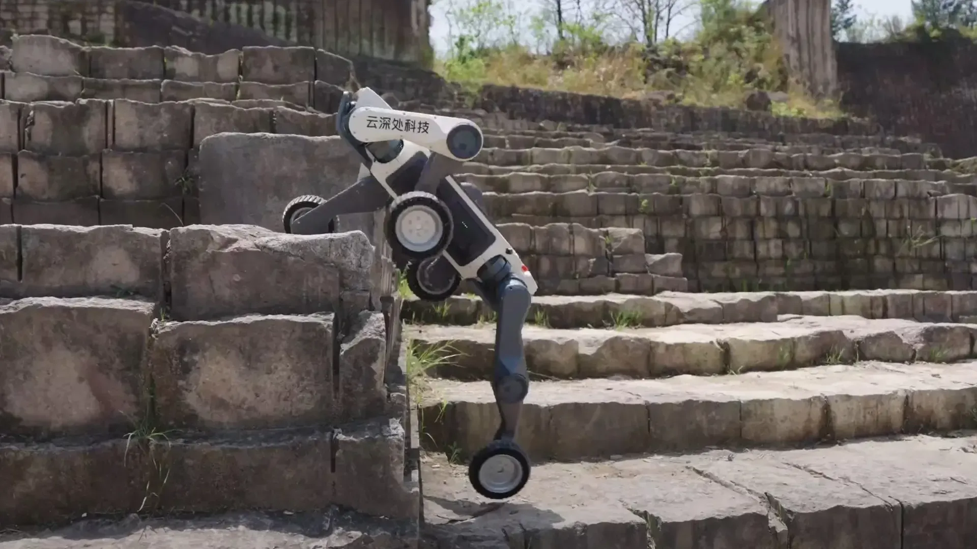 Deep Robotics представила нового робота-собаку M20 для промышленной отрасли