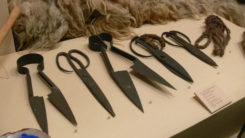 Саперы раскопали в Германии все еще острые и блестящие кельтские ножницы возрастом 2300 лет