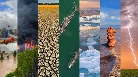 Science News: учёные подвели климатические итоги 2022 года