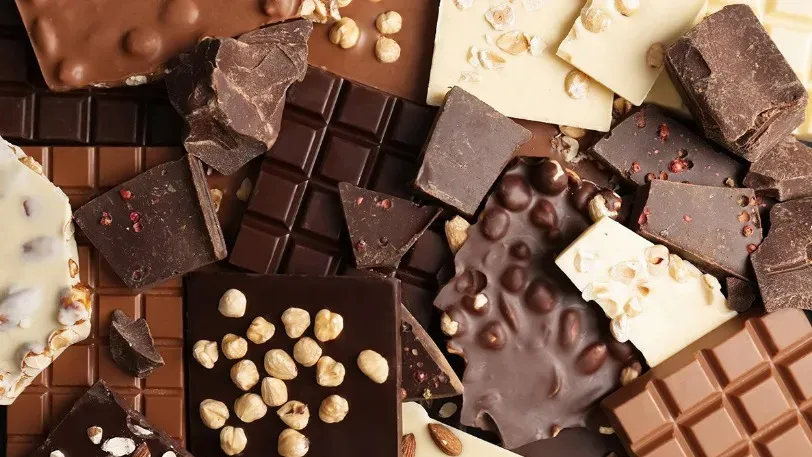 Диетолог Соломатина рассказала, какой шоколад полезнее – белый или тёмный