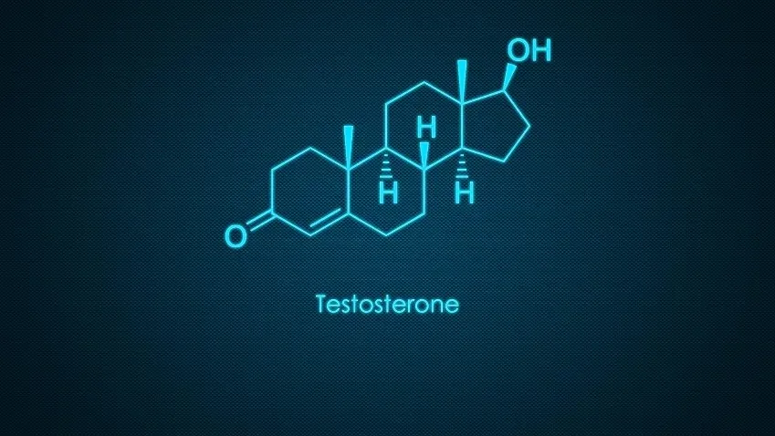 Медики выяснили, как тестостерон влияет на ощущение боли