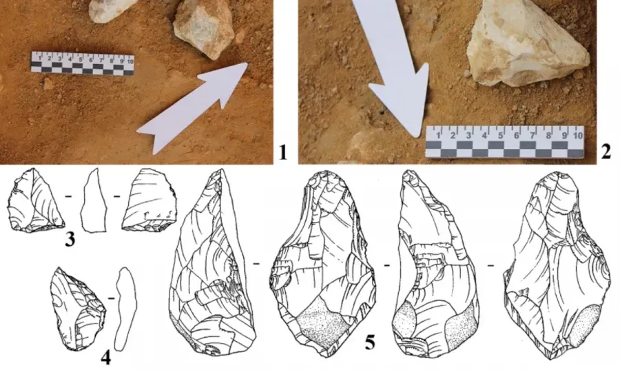 Фото: sciencedirect.com