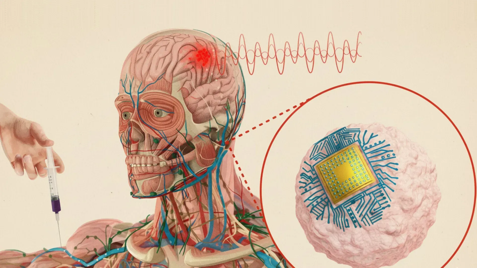 Учёные MIT создали платформу Circulatronics для лечения мозга без операций