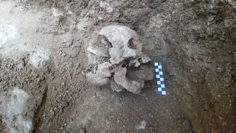 Найденное ритуальное кладбище с останками детей и щенков раскрыло тайну древних зомби