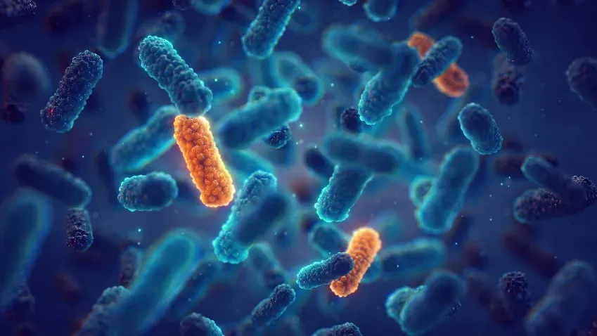 CRISPR-опосредованный геном важен для лечения рецидивирующих глиом