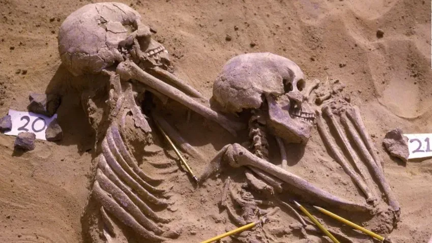 Археологи в Израиле нашли гробницу братьев, имевших связи с нейрохирургом бронзового века
