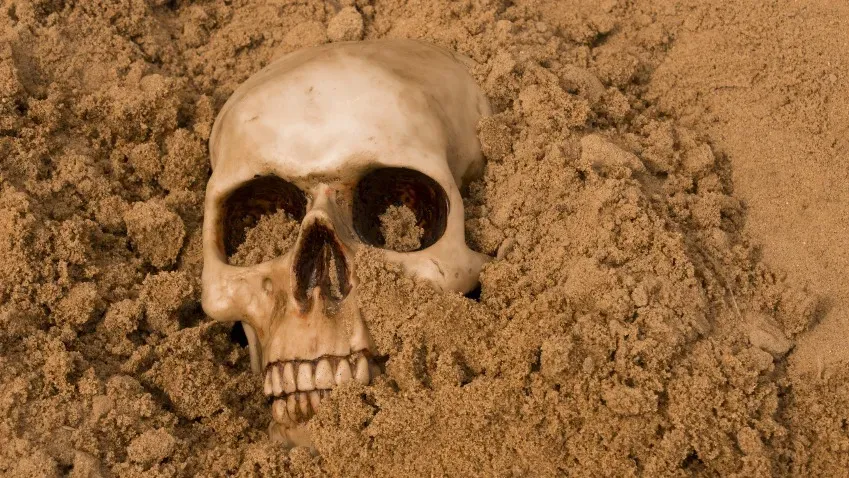Live Science: тело мальчика-колонизатора Америки небрежно бросили в могилу 400 лет назад