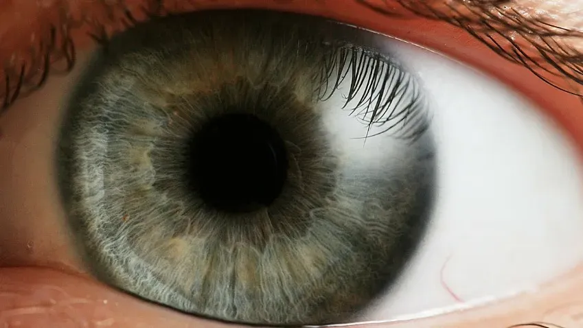 На Урале ученые создали программу, определяющую болезни глаз с точностью до 91%