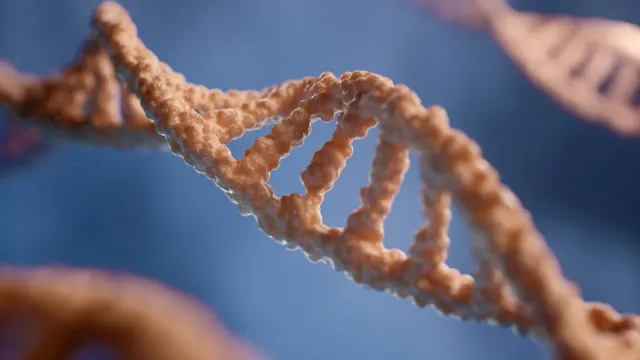 Проект Earth BioGenome расшифрует геномы двух миллионов живых организмов