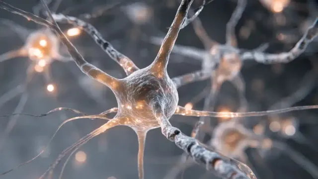 Новые нейроны на печатной электронике имитируют биологические импульсы Новые нейроны на печатной электронике имитируют биологические импульсы