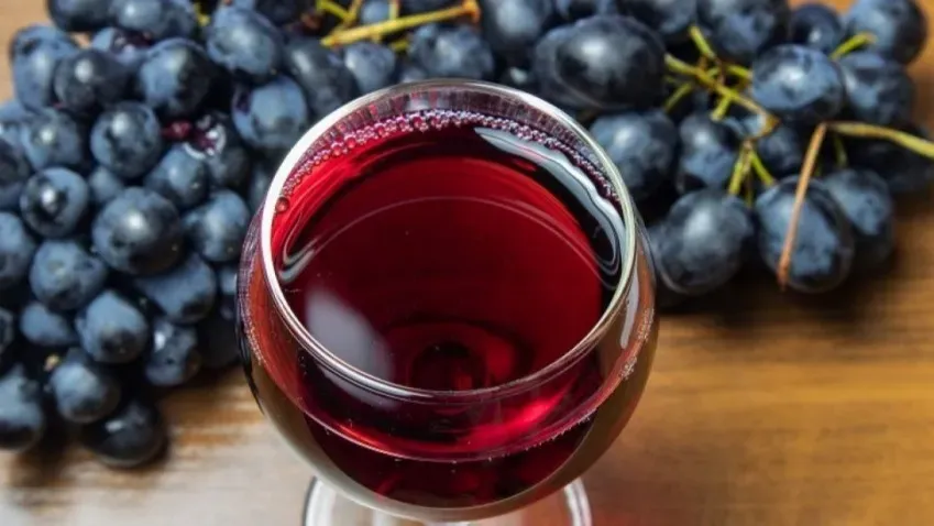 Ученые из УрФУ смогли оценить ценность отходов виноделия