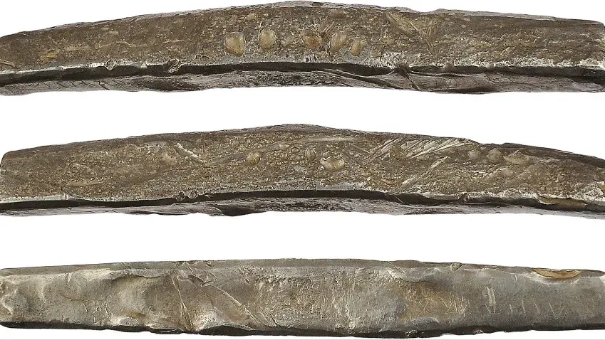 Утраченное владельцем в бронзовом веке сокровище нашли спустя 4300 лет