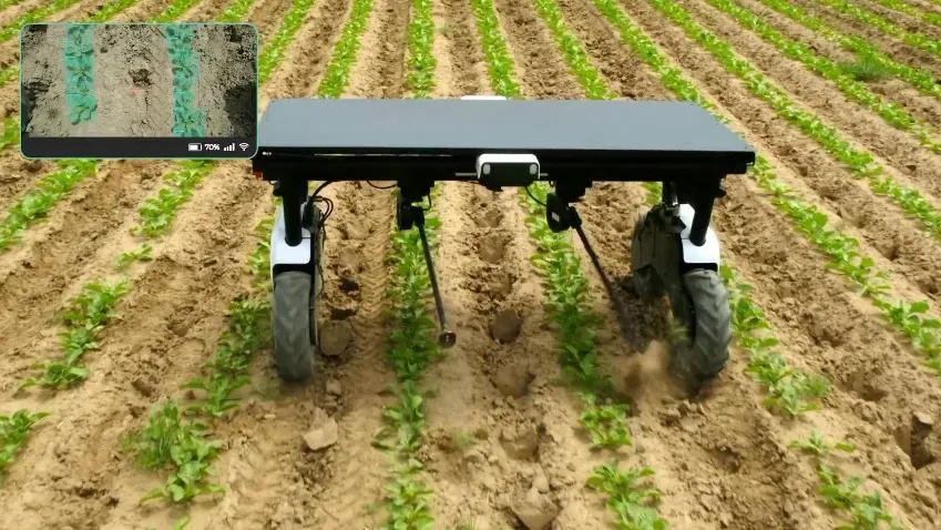 Компания Aigen создала робота, который борется с сорняками и пестицидами