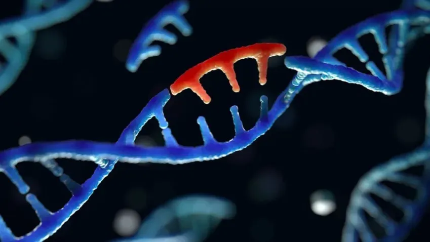 "МИР24": Карта ДНК приматов показала опасные мутации в геноме человека