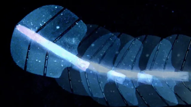 Миниатюрный робот плавает и удерживает личинок без кабелей и батарей