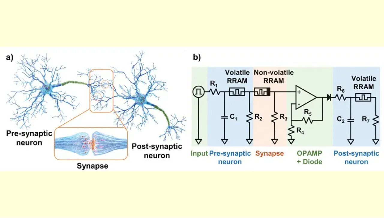 Искусственная нейронная сеть на основе мемристоров. а) Схематеческое изображение биологической...