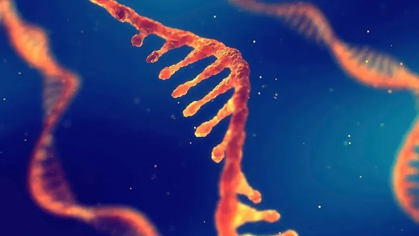 Ученые обнаружили молекулы РНК, которые могут помочь вовремя выявлять и лечить рак пищевода