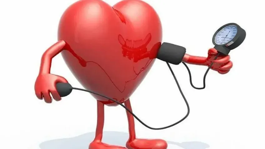 JAMA: у людей с объемными талиями и бедрами повышен риск болезней сердца и мышц