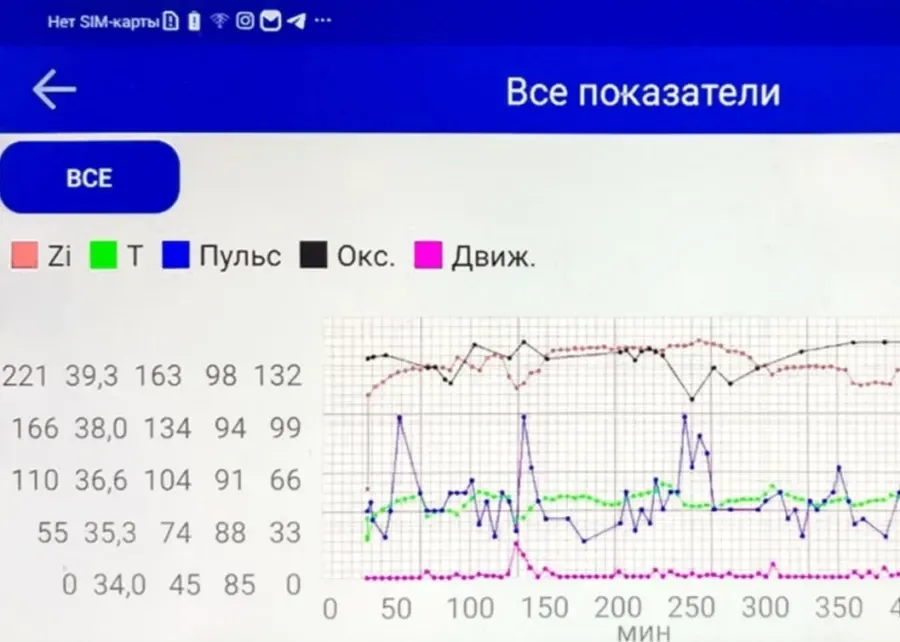 Фото: https://наука.р