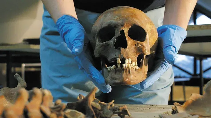 Ученые с трудом нашли признаки мозга в черепе Homo erectus возрастом более 5 миллионов лет