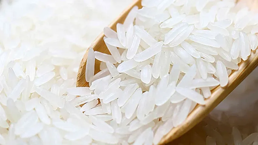 Nature Communications: научный прорыв в выращивании риса сможет накормить миллиарды людей на...