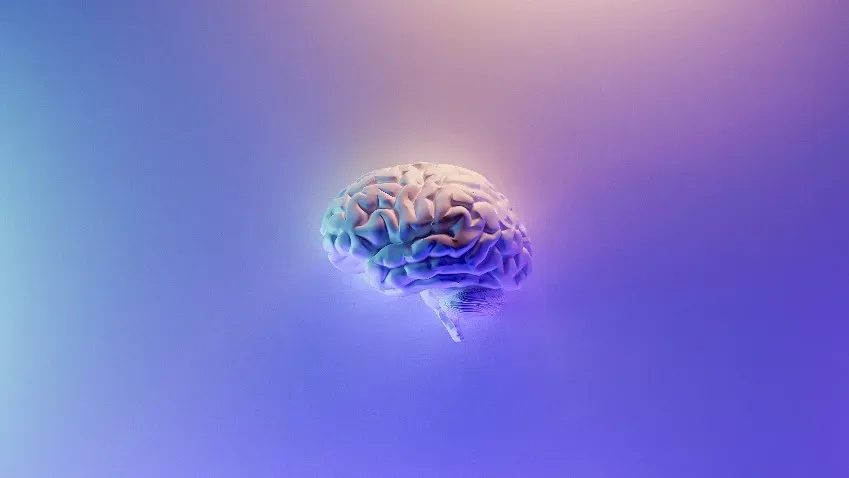 MedicalXpress: компьютерное моделирование помогло понять происхождение расстройств мозга