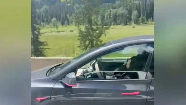 Tesla со спящим водителем заметили на шоссе в Вашингтоне