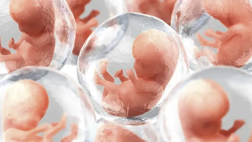 Что такое синтетический эмбрион и как он помогает ученым раскрыть тайну зарождения жизни