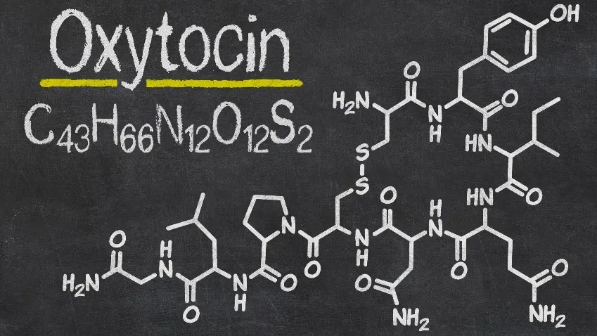 Дефицит "гормона связи" окситоцина влияет на состояние, вызванное заболеванием гипофиза