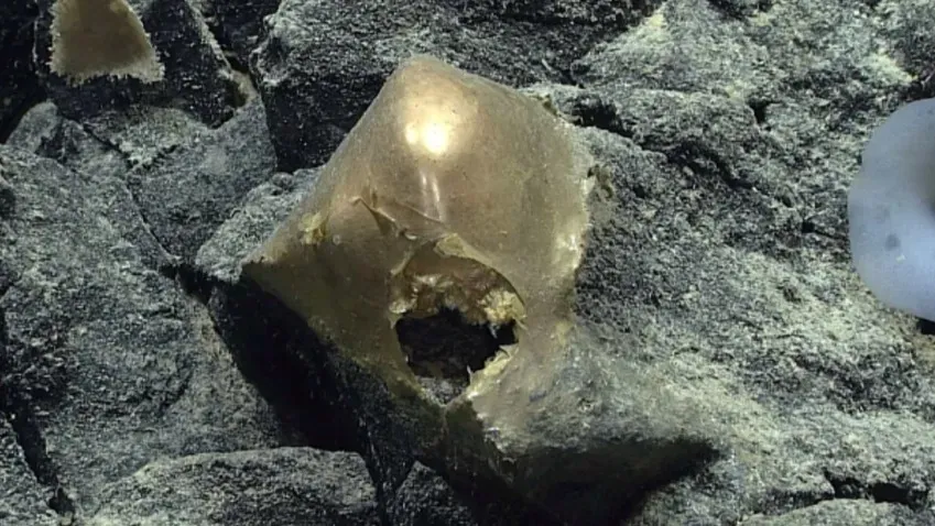 Около Аляски найден загадочный «золотой шар», поставивший ученых в тупик