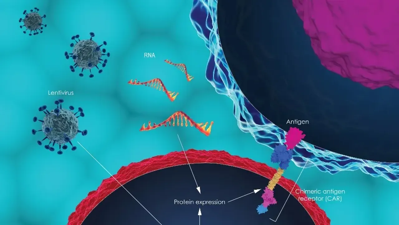 Создана универсальная CAR T-клеточная терапия против всех типов рака крови