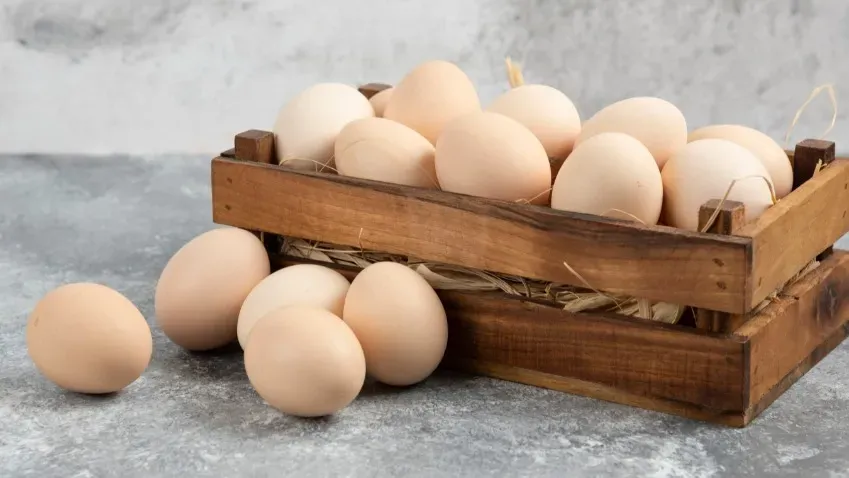 Foods: ученые заявили, что хранение яиц без холодильника сбережет витамин D