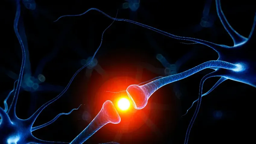 Development: нервные клетки можно заставить расти, устраняя некоторые проблемы со зрением