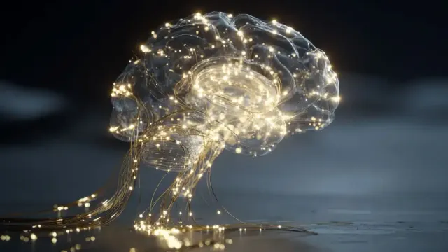 Новый алгоритм имитирует развитие мозга и усиливает важные связи