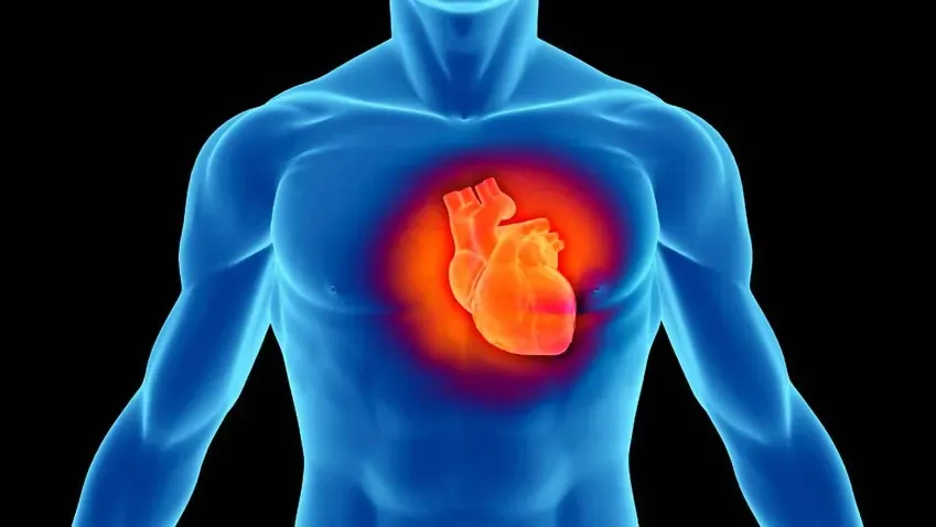 Ученые выявили ключевой механизм снижения хронического воспаления при заболеваниях сердца