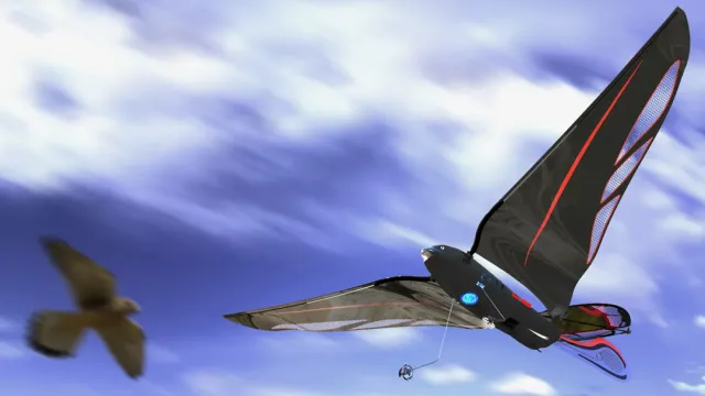 Французский инженер представил орнитоптер The Swift Французский инженер представил орнитоптер The Swift