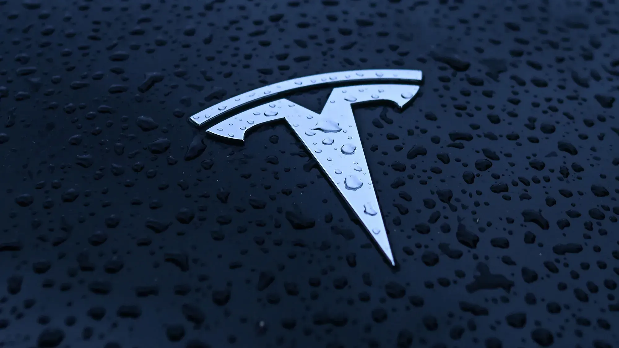 В США начато новое расследование автономного вождения Tesla FSD