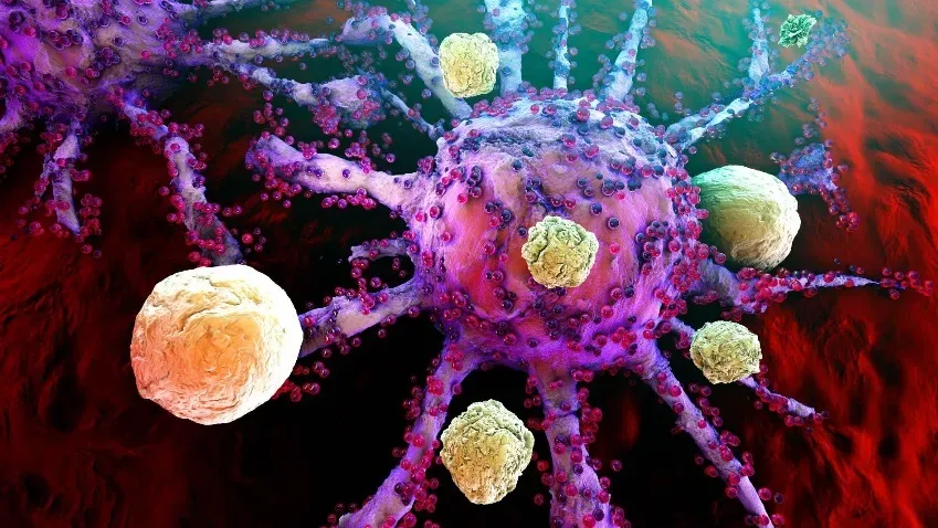 Science Advances: Новый биоанализ предсказывает реакцию раковых больных на иммунотерапию