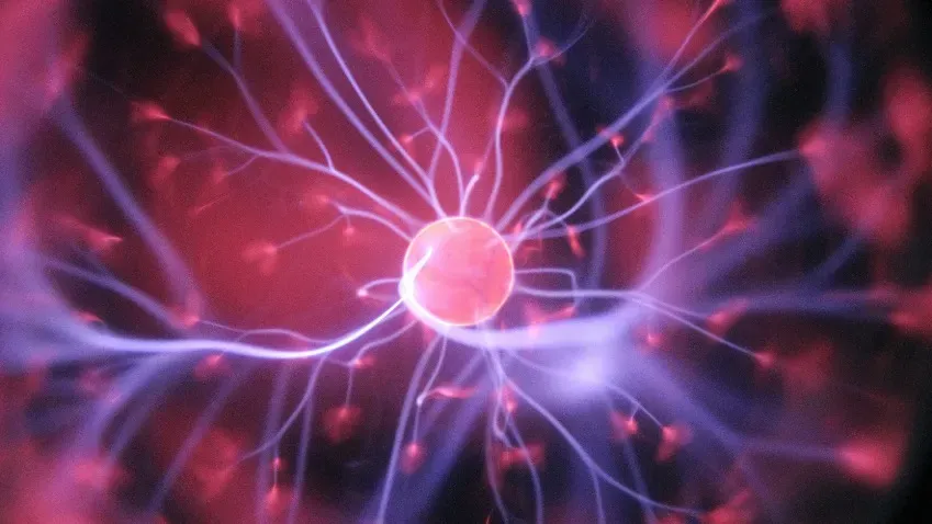 Medical Xpress: дисфункция нейронов в дофаминовой системе играет важную роль в более высоких...