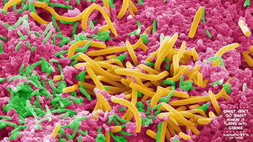 Ученые обнаружили фекальные бактерии на экранах самообслуживания