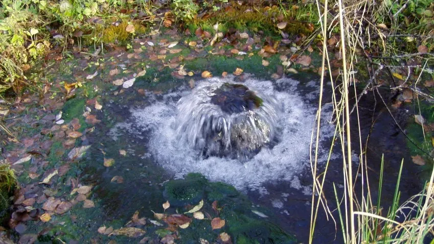 Газета.Ru: нитраты из удобрений могут вызывать загрязнение грунтовых вод ураном