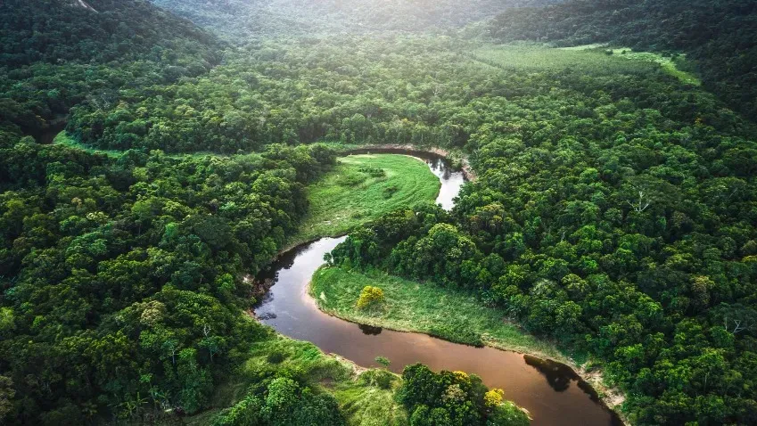 Гидроклиматическая система тропических лесов Амазонки находится под угрозой