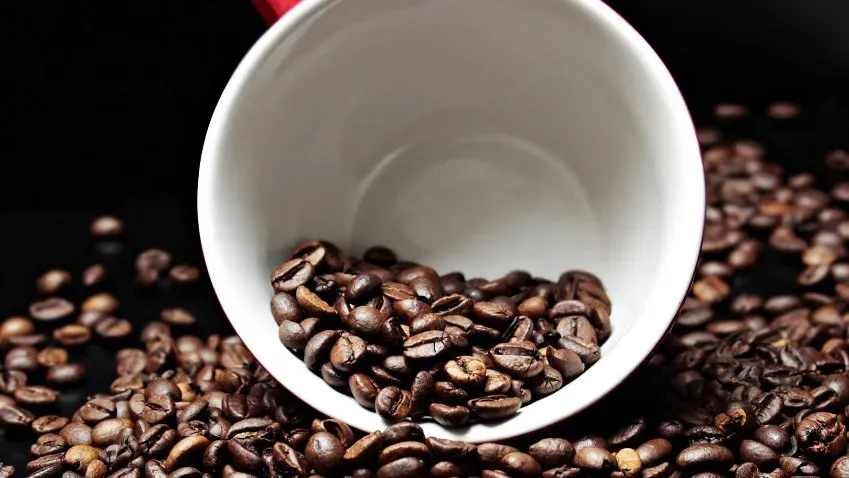 Ученый рассказал, во сколько раз кофе увеличивает продолжительность жизни